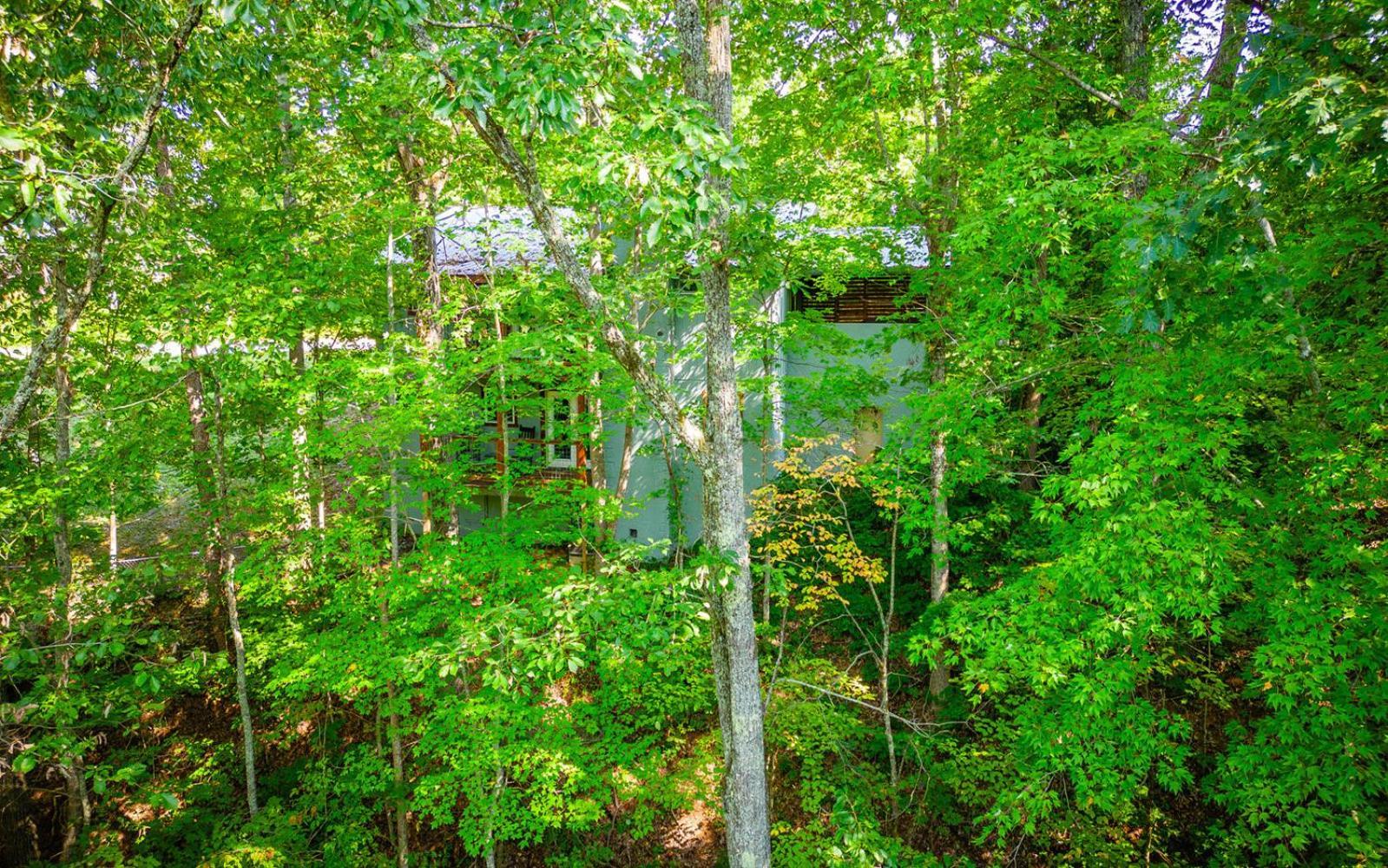 Dollys Getaway Villa Sevierville Exterior photo